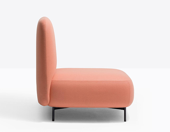 Buddy 213s – Image 2